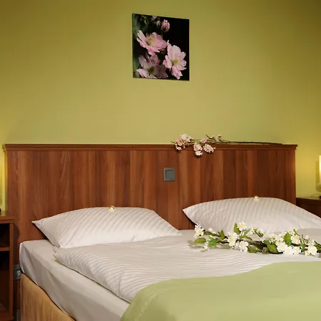 Hotel Hotel Lellmann 3*