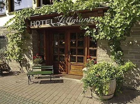 Lellmann Hotel